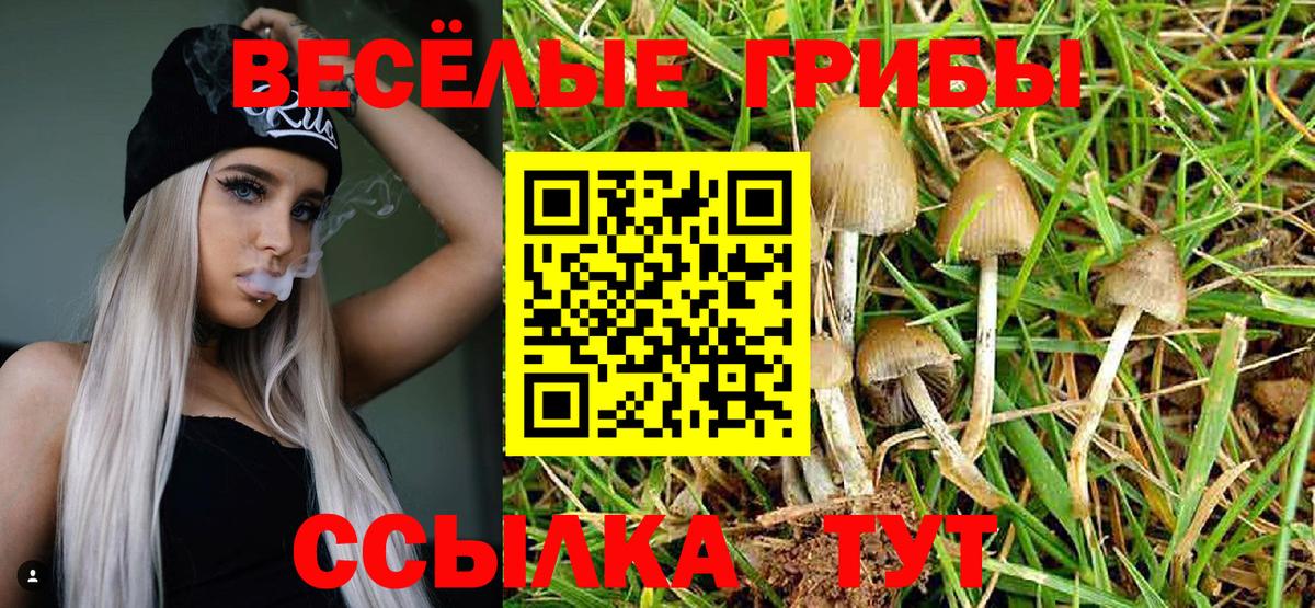 Галлюциногенные грибы прущие грибы Михайловск