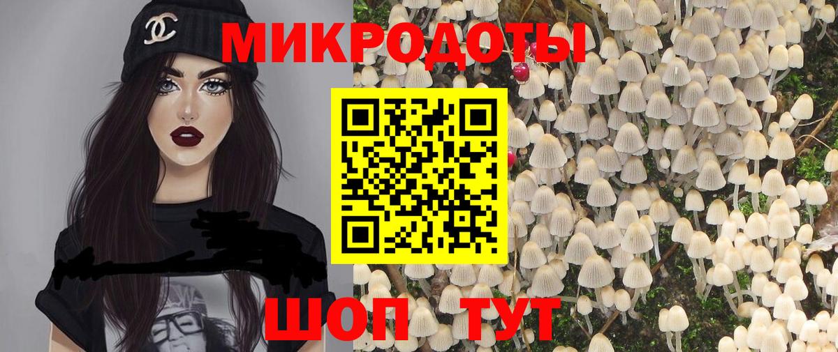 Михайловск  Псилоцибиновые грибы Psilocybine cubensis  Вход с VPN 